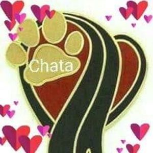 Meet your Posher, Adela